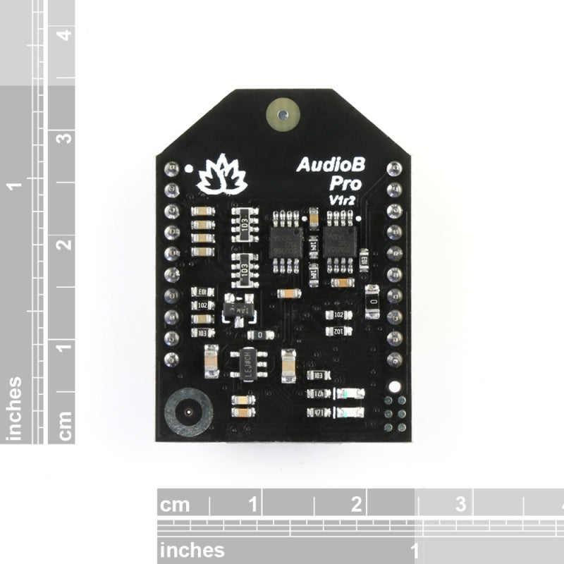 AudioB Pro Bluetooth Audio Receiver Module