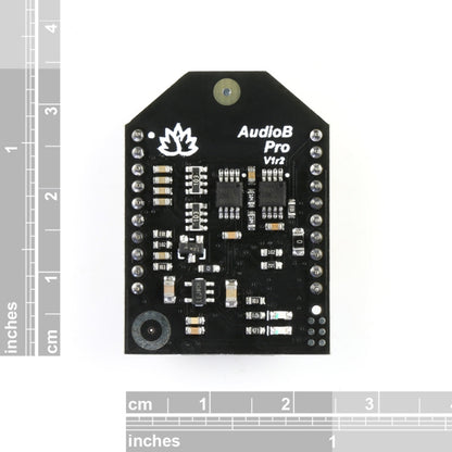 Audio Pro Bluetooth Module AudioB Pro Bluetooth Audio Receiver Module – TINYSINE AUDIO